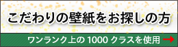 1000NXǎ